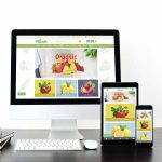 Naturel Ürünler E-Ticaret Paketi