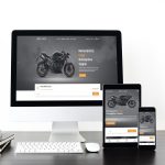 Premium WordPress Paketi